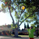 Illustration for article titled Shooting Challenge: Lens Flare Gallery Part Two